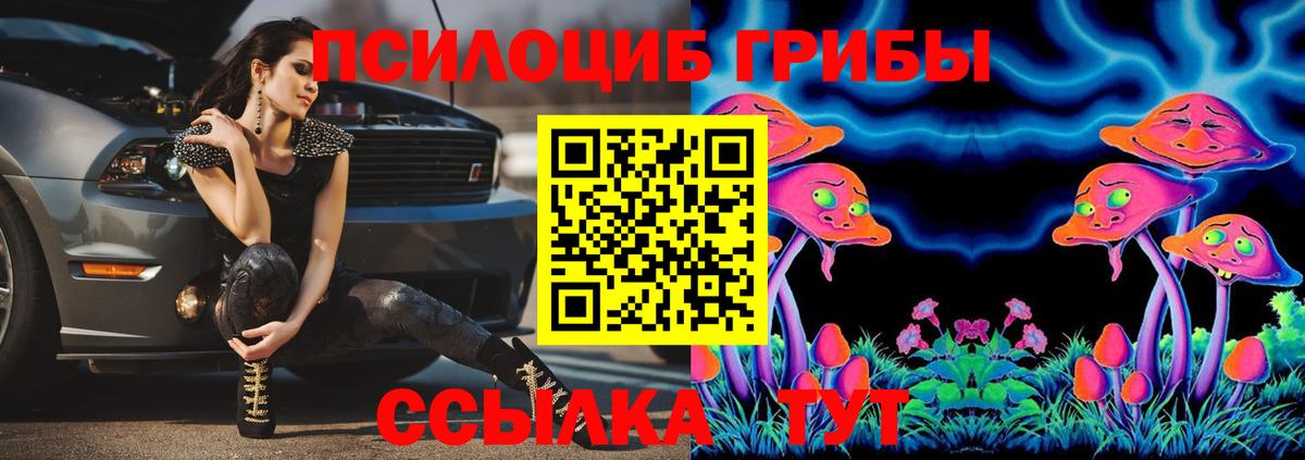 Галлюциногенные грибы GOLDEN TEACHER Александров
