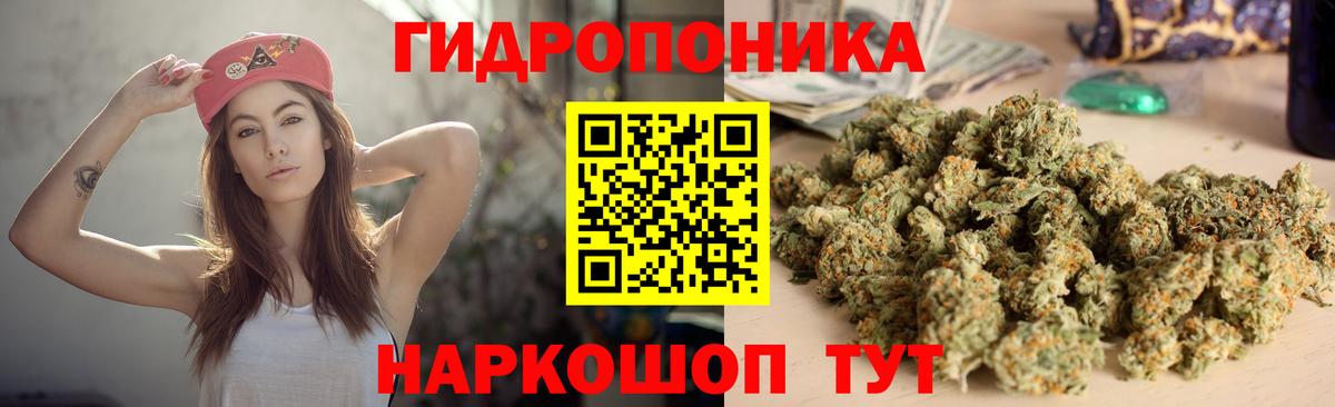 Шишки марихуана OG Kush Александров